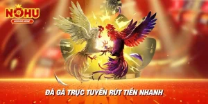 Đá gà trực tuyến rút tiền nhanh